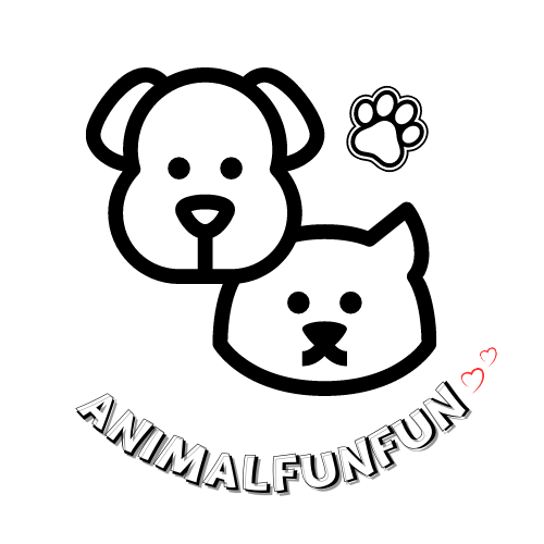 My Store logo