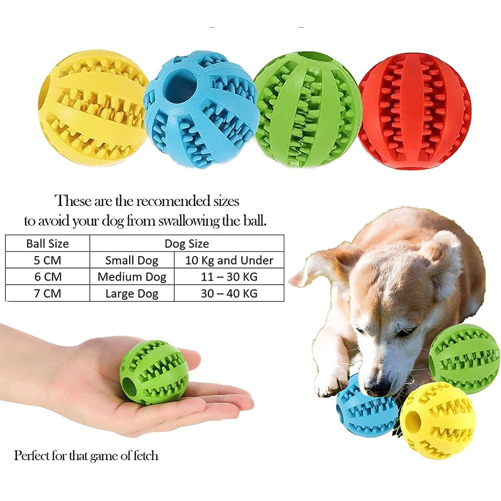 Sniff and Chew Interactive Ball