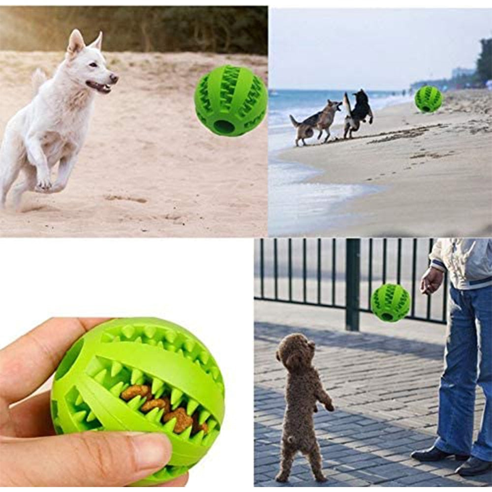 Sniff and Chew Interactive Ball