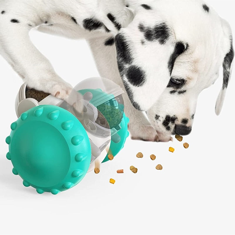 Foodie Fun Time Pet Puzzle Dispenser