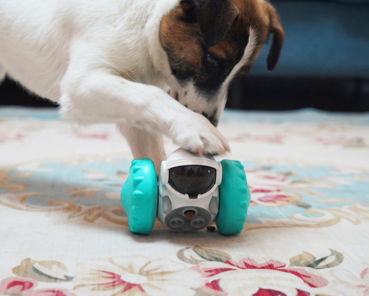 Foodie Fun Time Pet Puzzle Dispenser