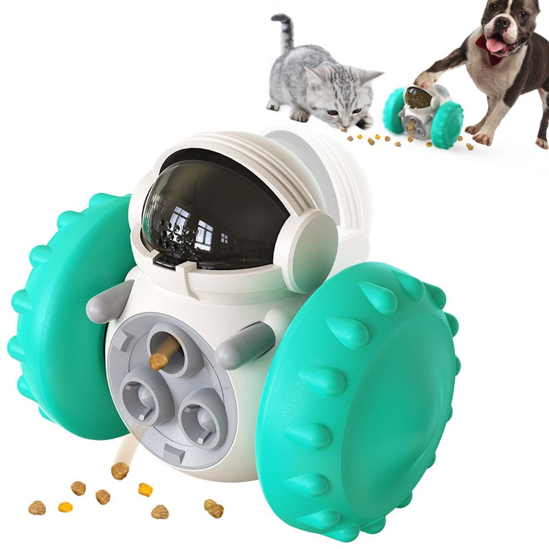 Foodie Fun Time Pet Puzzle Dispenser